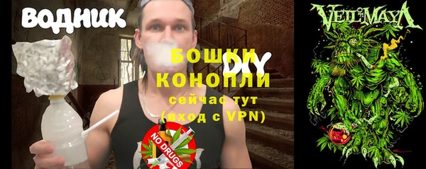 спайс Арсеньев