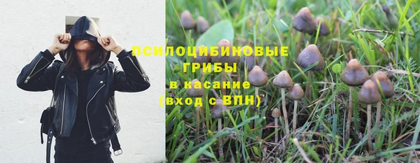 спайс Арсеньев